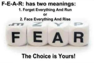 fear_2 meanings